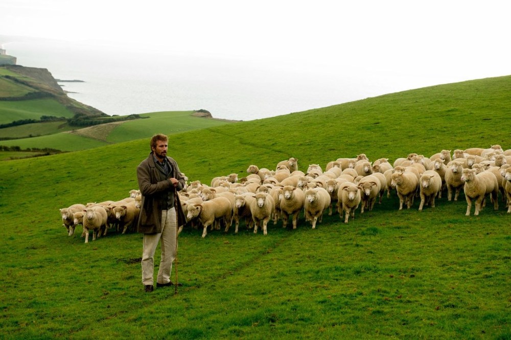 فیلم «به دور از اجتماع خشمگین»(Far From the Madding Crowd) با بازی ماتیاس اسچوئنائرتس